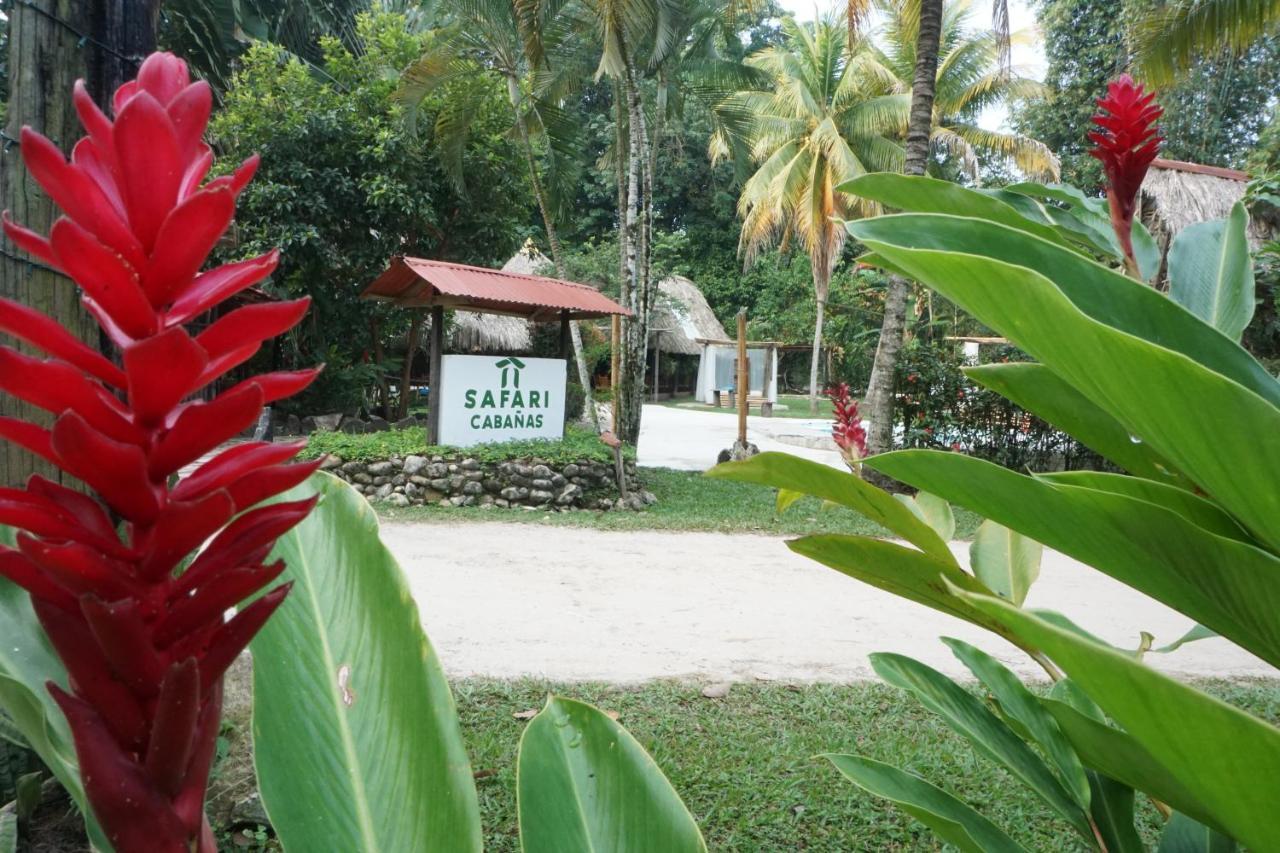 Hotel Cabanas Safari بالينكو المظهر الخارجي الصورة