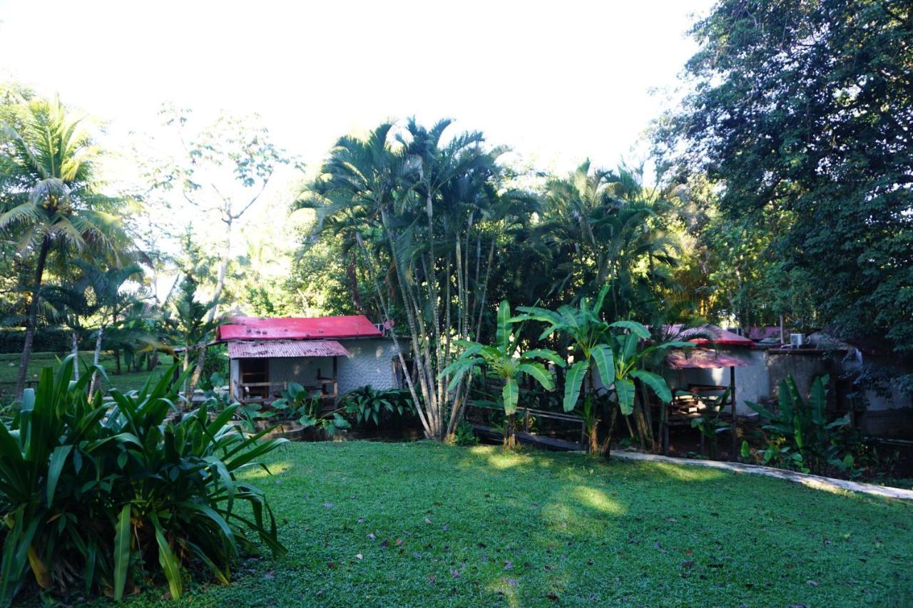 Hotel Cabanas Safari بالينكو المظهر الخارجي الصورة